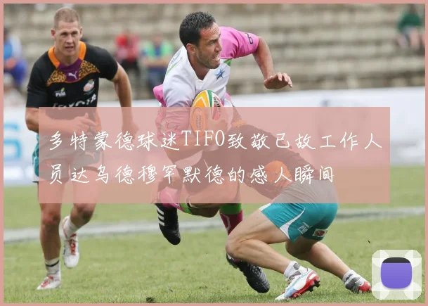 多特蒙德球迷TIFO致敬已故工作人员达乌德穆罕默德的感人瞬间